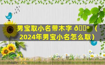 男宝取小名带木字 🐺 （2024年男宝小名怎么取）